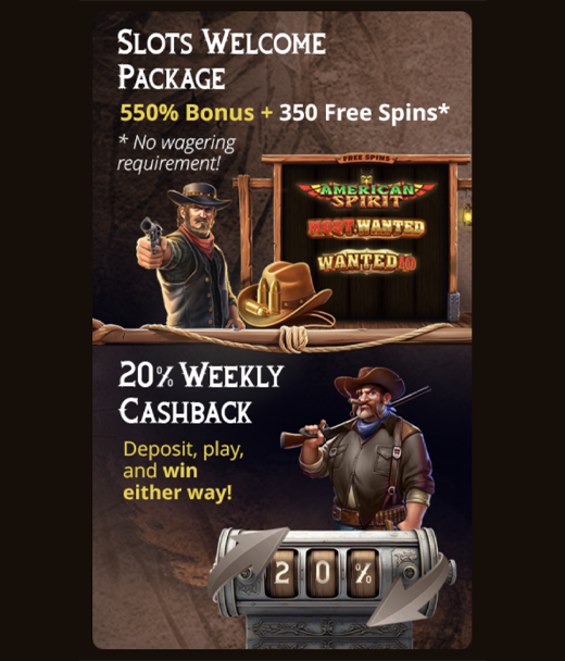 Bullspins login